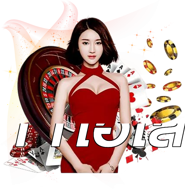 11ไฮโล